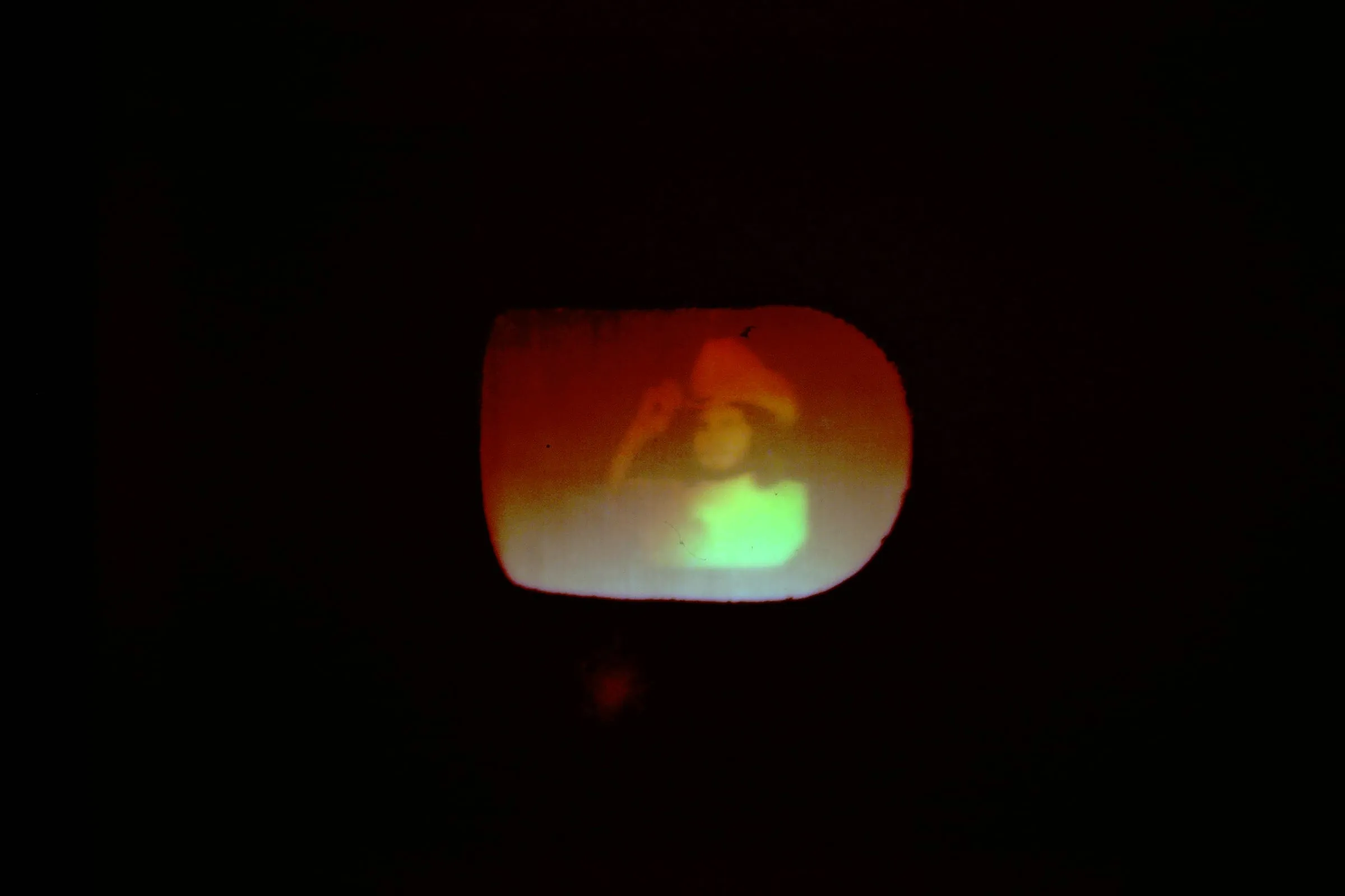 A 120-degree multiplex hologram self-portrait of Paul Linden.