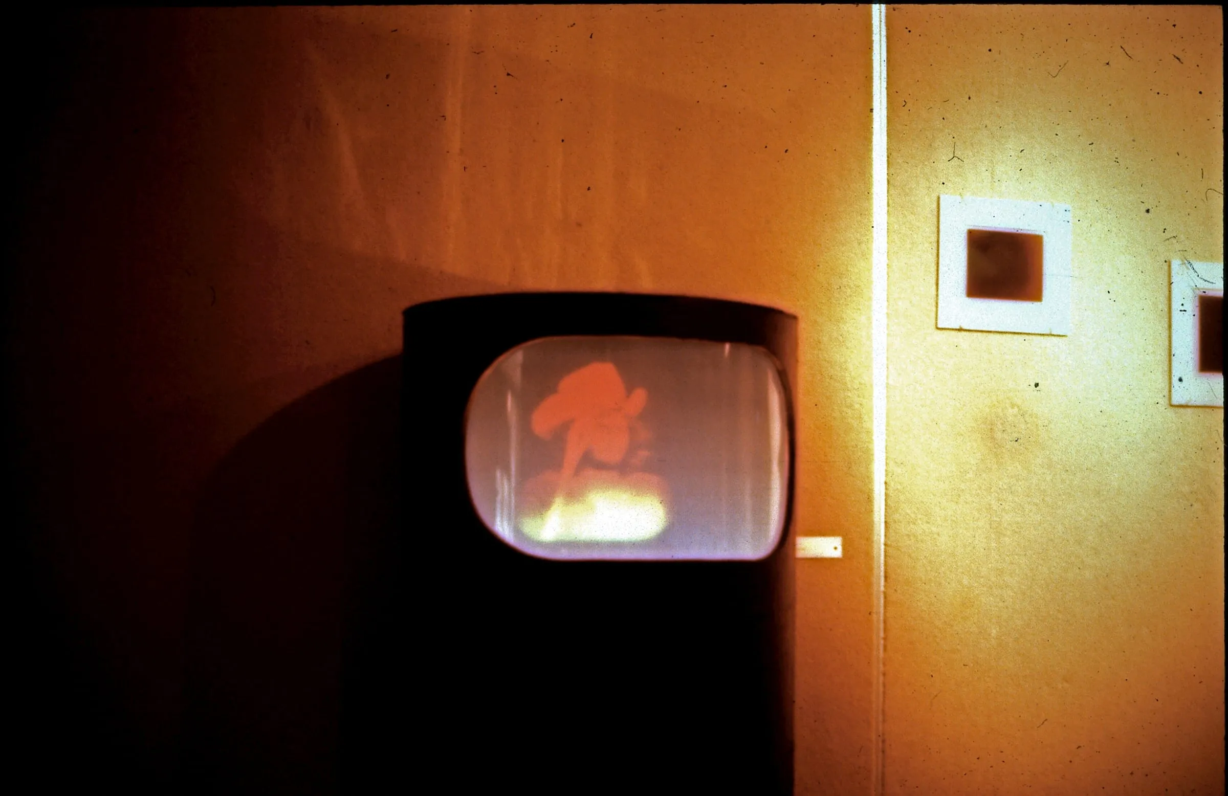 A red holographic image displayed on a monitor, 1974.